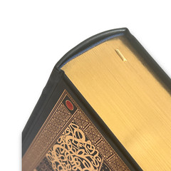THE HOLY BIBLE King James Version KJV Deluxe Illustrated Bounded Leather