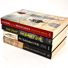 Book Lot NEW! FOLEY WELLS WOOD KLINE Historical Fiction Novels Guest List/Exiles