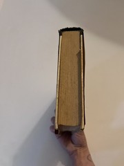 Superstar by Viva. G.P. Putnam’s Sons. First Edition. 1970
