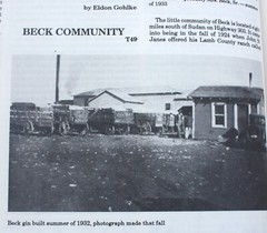 Lamb County, Texas  a Heritage 550 clean pages Mardema Ogletree, director