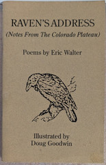 Lot of 8 Poetry Chapbooks, Hutton, Baldwin, Walter, truesdale, Hiatt… Lot 030
