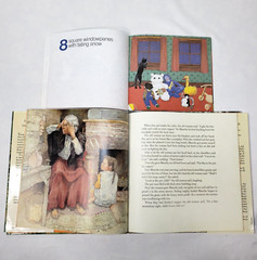 Kids Caldecott Award Picture Books Lot Of 10 Homeschool Classroom Honor Winners