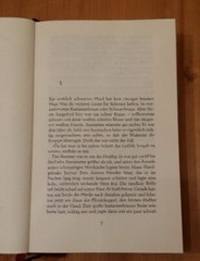 The Horse Enchantress Barbara Dimmick Novel Paul List Publisher 1998 415 Pages