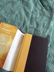 Harry Potter and the Cursed Child – Parts One & Two : The Official Script Book