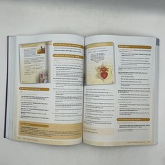 WORD Of LIFE Sample Book Augustine Institute Paperback Yellow Good Condition