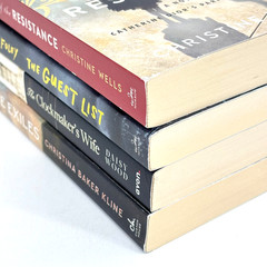 Book Lot NEW! FOLEY WELLS WOOD KLINE Historical Fiction Novels Guest List/Exiles