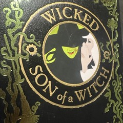 Wicked & Son of A Witch Bonded Leather Ed Gregory Maguire Wizard oz Fast Shippin