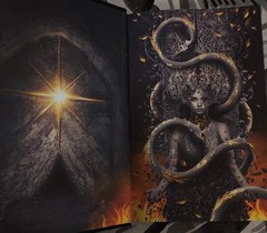 💝 House of Flame and Shadow Crescent City – Sarah J. Maas 1st Edition AS SHOWN