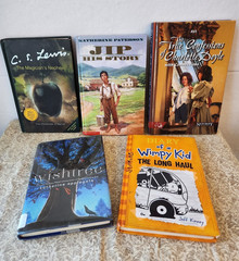 Lot Of 5 Chapter Books for Elementary School Grades 3-6 Ages 8-12