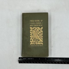 Vintage Field Book Of Wild Birds And Their Music Mathews HC Revised 1921 USA