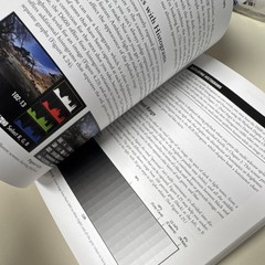 David Busch’s Nikon D600 Guide David D Busch Cengage 2014 Paperback