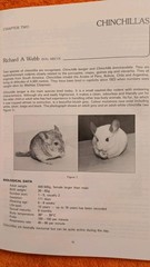 Beynon & Cooper, MANUAL OF EXOTIC PETS, 1994, PB, BSAVA, 312 Pages, ISU Press