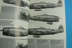 The Dynamite Gang, The 367th Fighter Group in WWII, Richard Groh, Aero, LN 1983