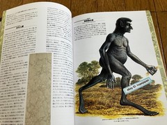 Man After Man An Anthropology of the Future Re Edition by Dougal Dixon