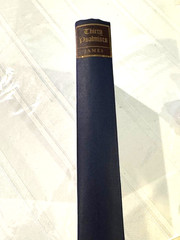 Thirty Psalmists by Fleming James Book 1938 Yellow Pages 260 Pgs -Free Shipping