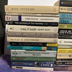 Lot of 38 Classic Paperback Literature Book Mix Signet Bantam Dante Dickens…