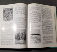 BOYD’S PATHOLOGY FOR THE SURGEON 8th Ed.by William Anderson 1967 HC Saunders