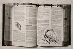 The World’s Largest Dungeon NO MAP 840 Pages NO MAP Jim Pinto Dungeons & Dragons