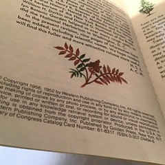 A Golden Guide To Trees Booklet By Zim/Martin 160 Pages 1952