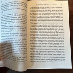 Burn Down Master’s House by Clay Cane – Feb. 2026, ARC Copy SIGNED BY AUTHOR