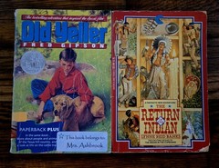 4th 5th Grade 21 Chapter Books Teacher Classroom Library Set Homeschool FB586