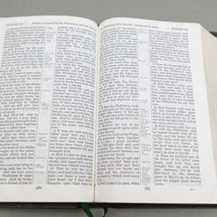 Rare Kenneth Hagin Ministries Rhema KJV Study Bible Calfskin Green by Cambridge