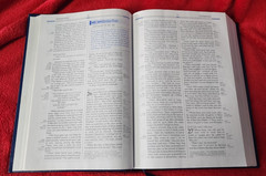 Freedom in Christ Bible New International Version Discovery Zondervan 2001 HB