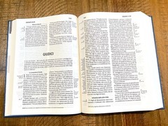 Italian Language Reference Bible, La Sacra Bibbia, NRV 2006, Blue Hardcover