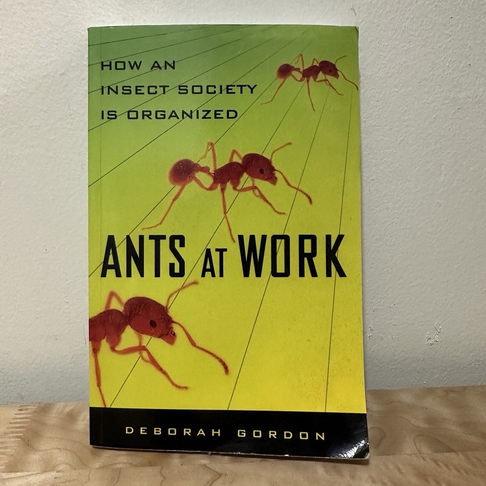 Ants At Work: How an Insect Society Is Organized by Deborah Gordon