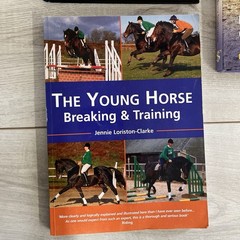 Horse Equestrian Training Lot Of 4 Breaking, Long Reining & Dressing