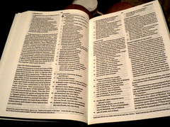 CSB HOLMAN HOLY BIBLE Pew Edition (2017, HB) Black 6 1/4″ x 9 1/4″: Christianity