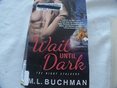 Wait Until Dark by M.L. Buchman #1256