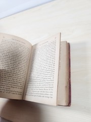 Vintage Scarlet Letter Nathaniel Hawthorne Hardcover Book 2nd ED by ALTEMUS_BK