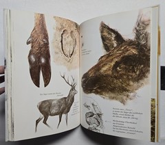 Rien Poortvliet: … und jeder Fuchs hat seinen Bau, Kosmos 2001, HC