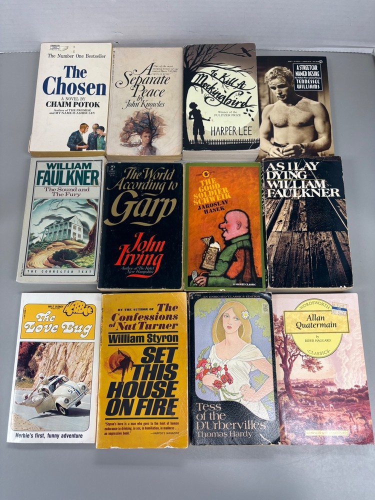 Classic Novels Lot of 12 Paperback (See Photos for Titles)