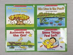 Lot Of 24 Scholastic Little Leveled Readers C And D