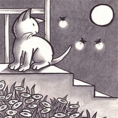 Kitten’s First Full Moon by Kevin Henkes | Korean Edition Picture Books