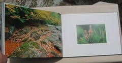 Pejzaz Polski – Polish Landscape – Photographs by Ryszard Czerswinski