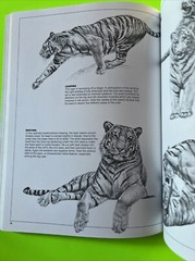 Pencil Drawing Techniques by David Lewis (1984, Uk-Trade Paper)