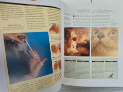 The Complete Cat Book by Paddy Cutts 1999 Barnes & Noble
