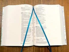 French Journal Bible, Segond 21, Blue Flower Cover & Pages, Padded Hardcover