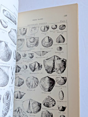 Fossil Collecting in Pennsylvania by Donald M. Hoskins 4th Printing 1976 w/ Map