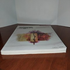 Lifeway Gospel Project Daily Discipline Guide Bible Study Large Print Vol 6 & 7