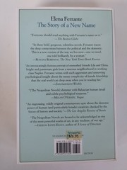 Lot Of 2 Neapolitan Novels By Elena Ferrante, Europa Editions Book 1-2