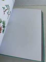 365 Days of Art: A Creative Exercise for Every Day of the Year