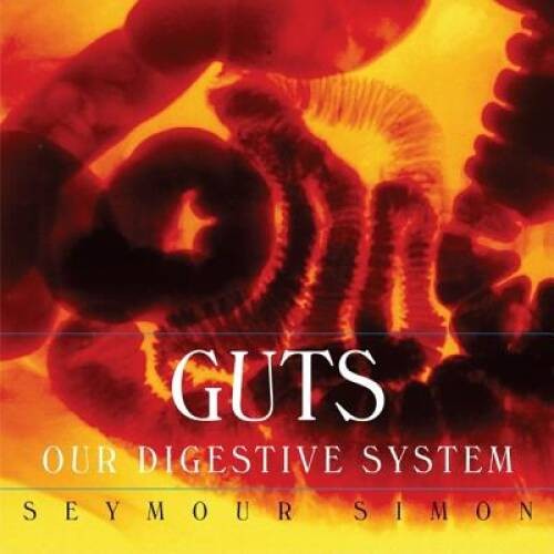 Guts: Our Digestive System – Hardcover By Simon, Seymour – VERY GOOD