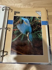 Wildlife Fact File Card Set Group 1-2 Binder Mammals Birds Near Complete