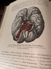 Text Book of pathology 1945, 5th Edition, Illustrated