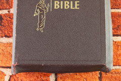 Holy Bible 1950 Catholic Press Rev. John P. O’Connell