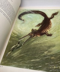 Prehistoric Animals J. Augusta-Z. Burian Vintage Dinosaur Book HC